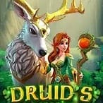 Druid's Enchanted icon